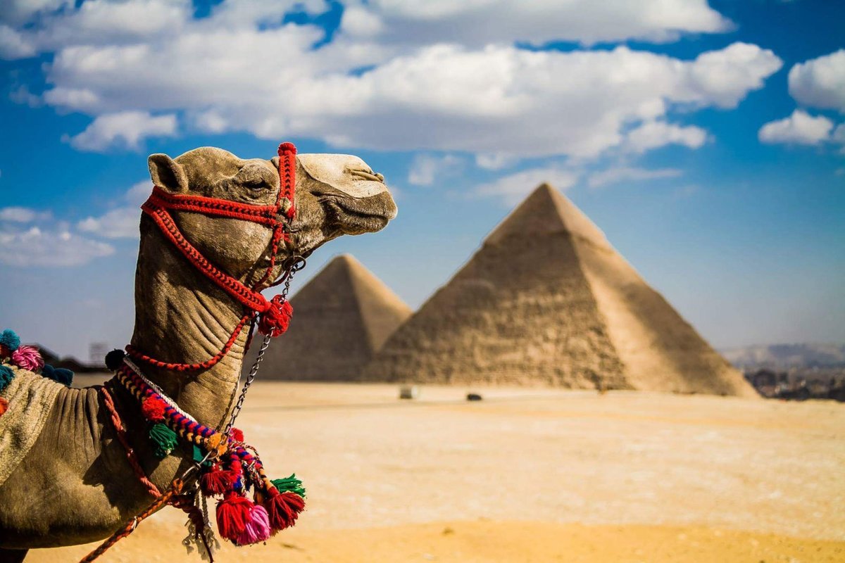 В МИД пообещали скорое возобновление чартерных рейсов в Египет